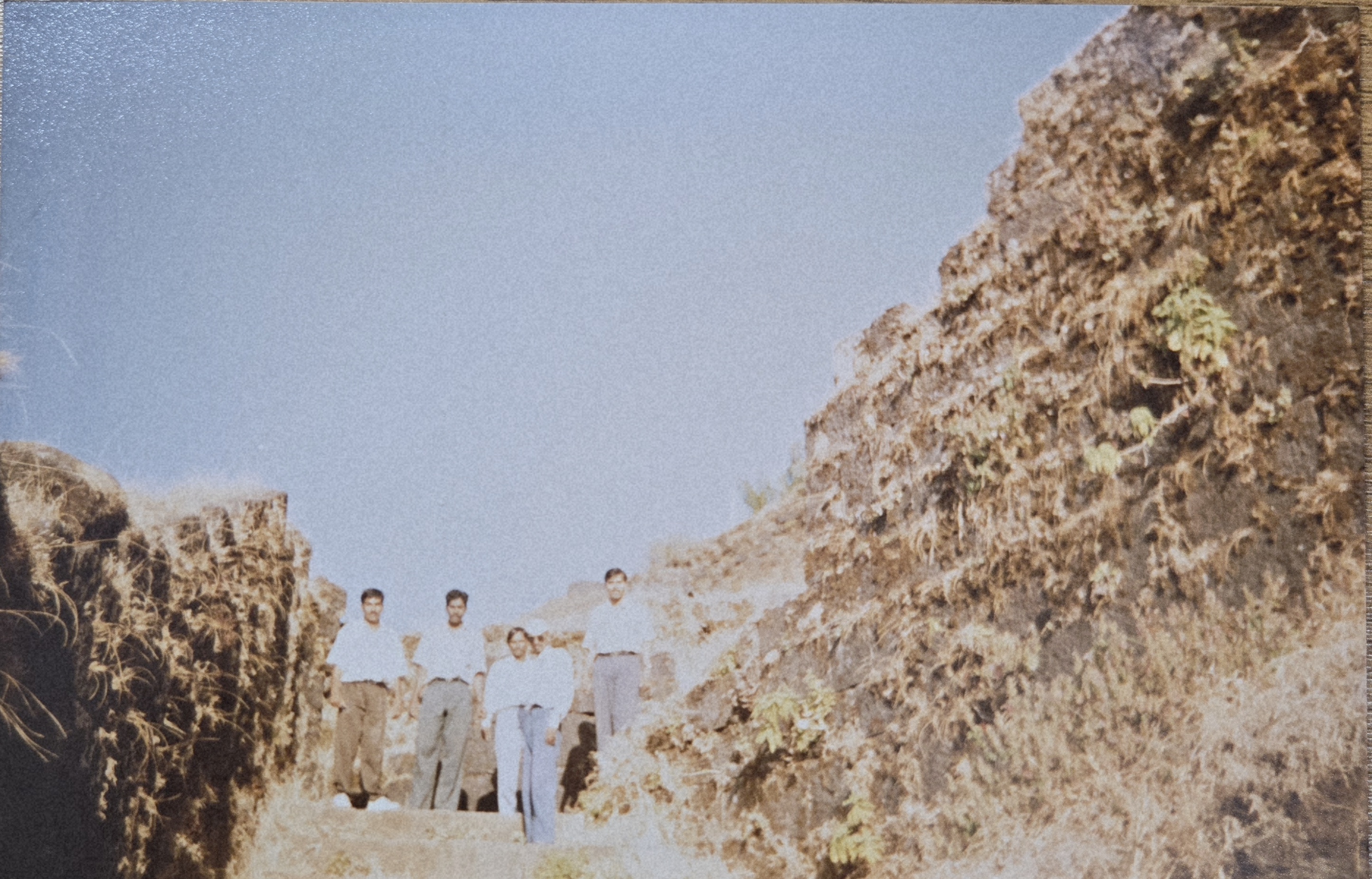 Gallery image 3